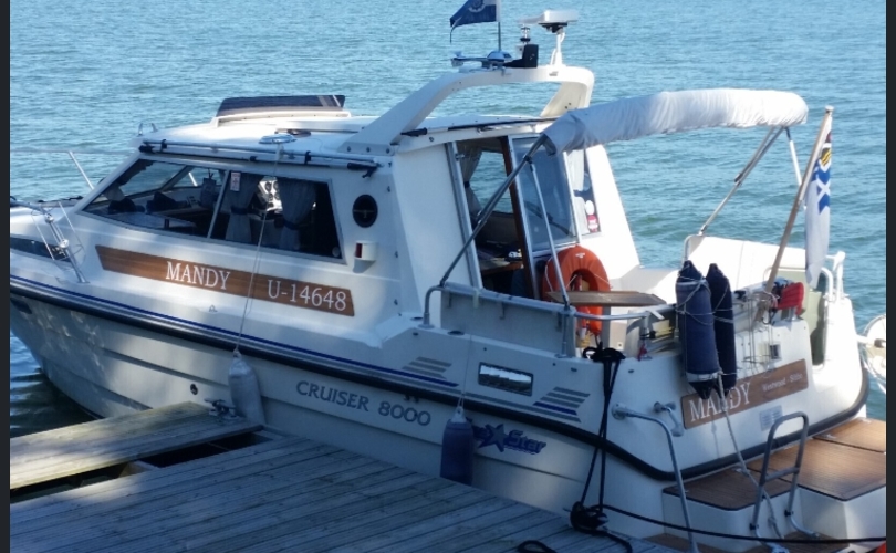 SeaStar Cruiser 8000-kuva-2